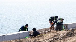 PS6: ”Parcul Lacul Morii ar urma sa concureze cu Herăstrău”