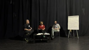 De ce sunt biletele la spectacolele de teatru scumpe?