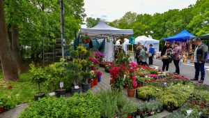 „Zilele Horticulturii Bucureștene” și „Agronomiada”, în luna mai la București