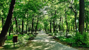 Parcul Kiseleff va fi reamenajat prin concurs internațional de soluții
