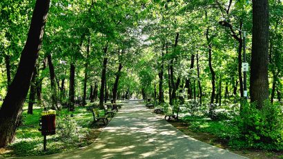 Parcul Kiseleff va fi reamenajat prin concurs internațional de soluții