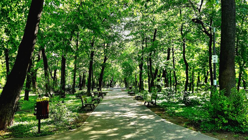 Parcul Kiseleff va fi reamenajat prin concurs internațional de soluții
