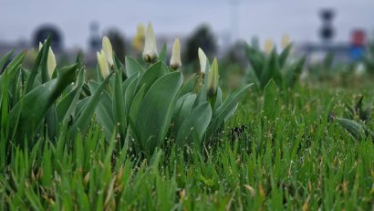 2.200 de familii vor avea ce pune pe masa de Paste