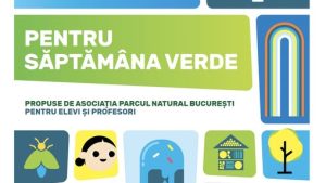 Ghid nou pentru Săptămâna Verde: idei simple prin care școlile pot aduce natura mai aproape de elevi
