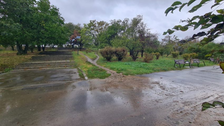 Grădină de ploaie, în Parcul Tineretului