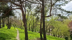 Vremea se menține caldă în București