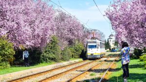 Încep lucrările de modernizare a șinelor de tramvai în nordul Bucureștiului
