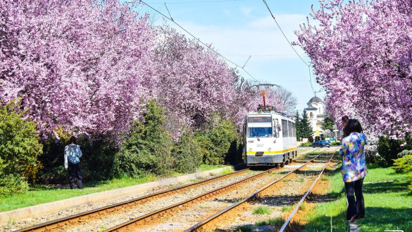Încep lucrările de modernizare a șinelor de tramvai în nordul Bucureștiului