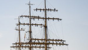 Marș transatlantic al navei-școală „Mircea”