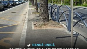 Şase linii de autobuz pe culoar unic