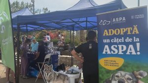 ASPA organizează un nou târg de adopții de animale la finalul lunii aprilie