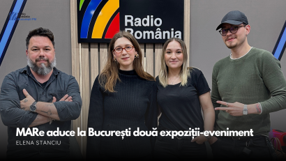 VIDEO| MARe aduce la București două expoziții-eveniment: Bernard Frize și fotografiile lui Brâncuși