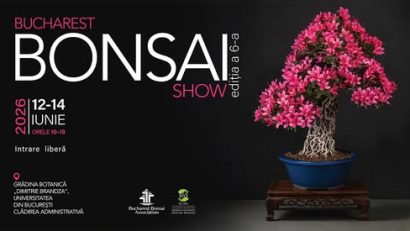 Terapie curată, la BUCHAREST BONSAI SHOW