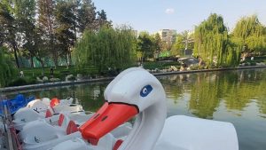 S-a dat dat startul plimbarilor pe lacul din Parcul Drumul Taberei