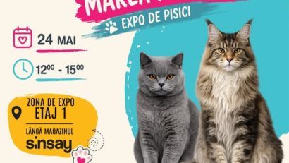 Cele mai frumoase pisici din România vin la Mall Drumul Taberelor