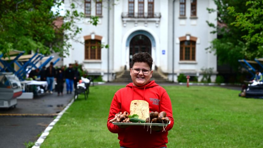 Piaţă volantă la Arcul de Triumf, în curtea DGASPC Sector 1