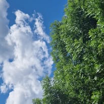 Temperaturi în jur de 31 de grade în Capitală, miercuri