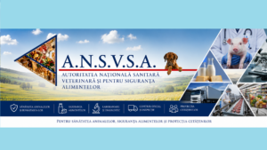 S-a deschis, oficial, Comandamentul Estival Regional 2026
