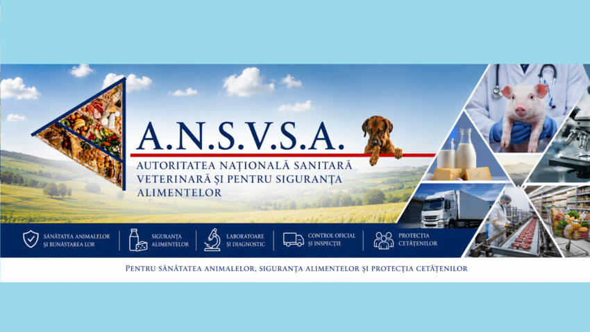 S-a deschis, oficial, Comandamentul Estival Regional 2026