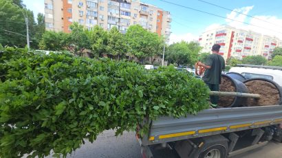 Sectorul 4: Regenerare urbană, creșterea calității vieții pentru întreaga comunitate