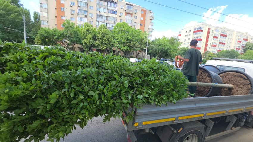 Sectorul 4: Regenerare urbană, creșterea calității vieții pentru întreaga comunitate