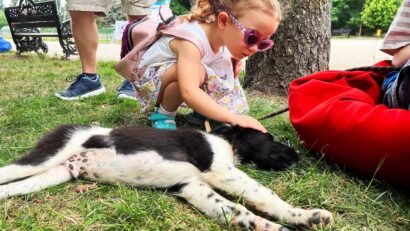 Târg de adopții de animale, în Parcul Crângași!