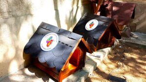 Sectorul 4: Pisicile fără stăpân pot avea căsuța lor