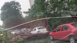 ISUBIF: Solicitari pentru gestionarea efectelor fenomenelor meteorologice