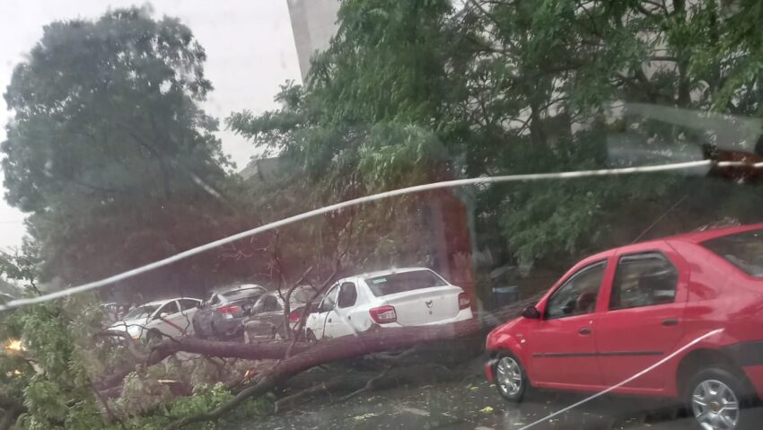 ISUBIF: Solicitari pentru gestionarea efectelor fenomenelor meteorologice