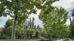 Luni: Nori, deasupra Capitalei