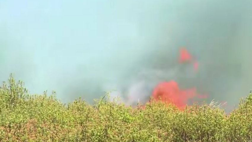 Mii de persoane au fost evacuate în sud-vestul Franței din cauza unui incendiu de vegetație