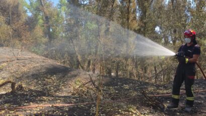 Incendii din sudul Europei: Franţa cere ajutorul UE, Spania declară stare de urgenţă
