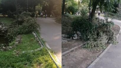 După preluarea de către ADP București, problemele din parcurile Capitalei persistă