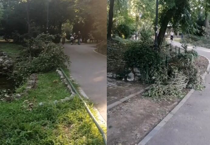 După preluarea de către ADP București, problemele din parcurile Capitalei persistă