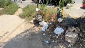 Primăria Sectorului 5 igienizează terenurile părăsite și retrasează trecerilor de pietoni!