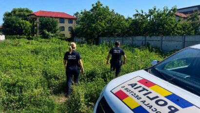 Controale pentru combaterea ambroziei în Sectorul 6!