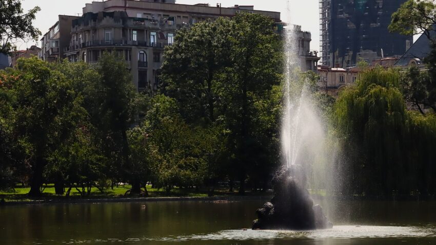 La plimbare în Cișmigiu. Unde faci cele mai bune poze