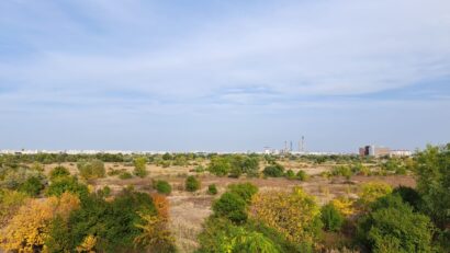 Parcul Natural Văcărești organizează o nouă acțiune de ecologizare și combatere a ambroziei