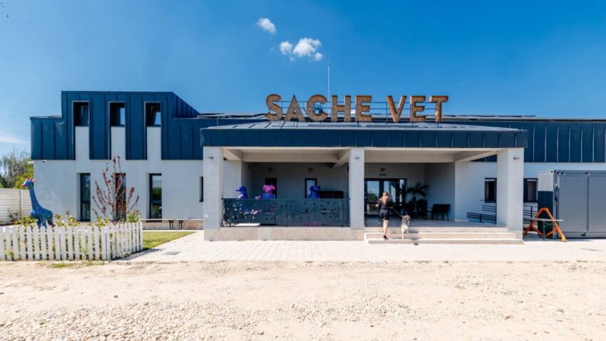Primul spital veterinar social din România, în apropierea Capitalei