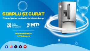 Frigiderul: cât de des și cu ce se curăță corect