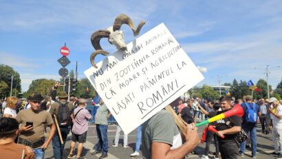 Protest în Piața Victoriei. Fermierii și crescătorii de animale își cer drepturile