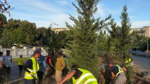 Ciucu: Bulevardul 13 Septembrie va fi un coridor verde