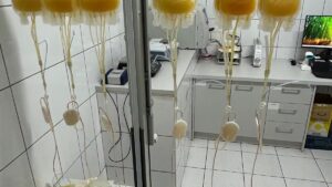 Premieră națională! CTSMB introduce un nou component sanguin