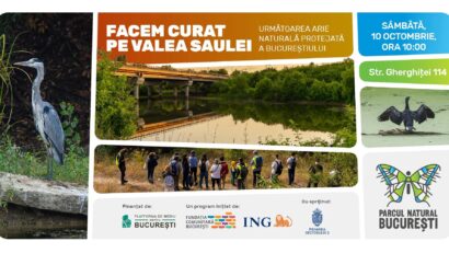 O nouă acțiune de curățenie pe Valea Saulei