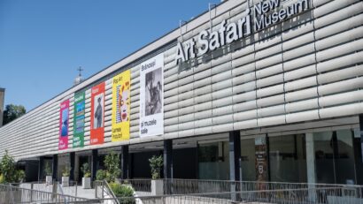 Diana Nicolaie preia funcţia de CEO al Art Safari New Museum