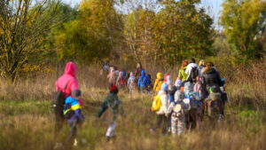 Sursa: Administrația Parcului Natural Văcărești