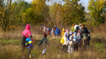 Sursa: Administrația Parcului Natural Văcărești