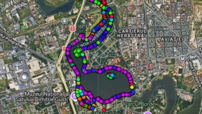 1.844 de arbori au fost evaluați în Herăstrău iar consolidarea malurilor a fost adaptată pentru protejarea arborilor sănătoși