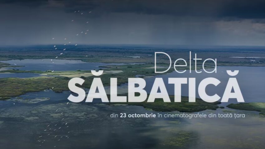 Documentarul “Delta Sălbatică” – premieră de gală astăzi în Bucureşti