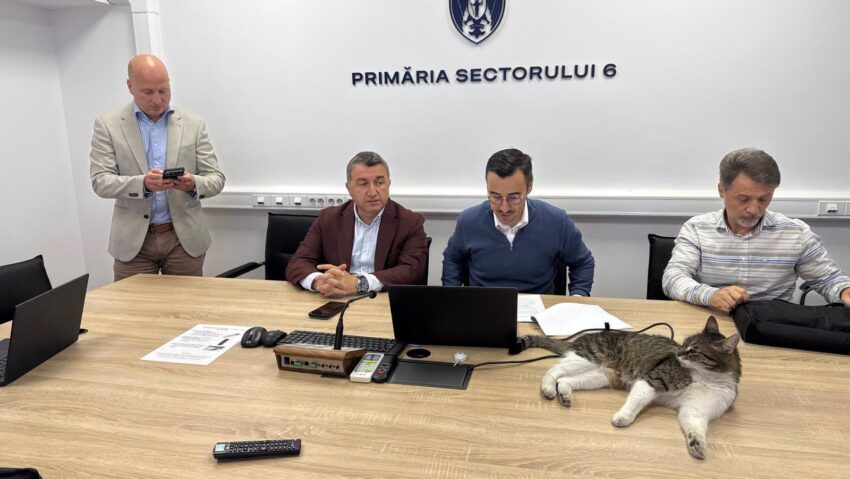 Primăria Sectorului 6 propune un cont unic pentru toate serviciile digitale